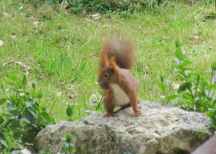 Le Verger D'auzan Casa de Férias