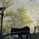 Le Verger D'auzan Vakantiehuis *