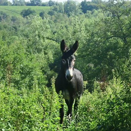 Hébergement de vacances Domaine Le Poteau