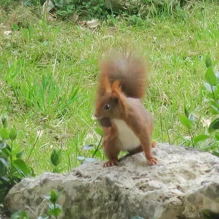 Le Verger D'auzan Ferienhaus