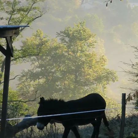 Le Verger D'auzan Ferienhaus *
