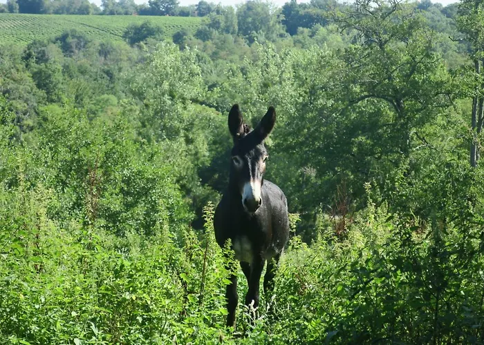 Hébergement de vacances Domaine Le Poteau