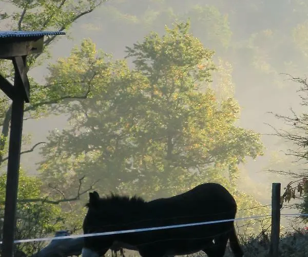 Le Verger D'auzan בית נופש *